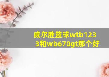 威尔胜篮球wtb1233和wb670gt那个好