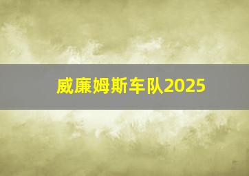 威廉姆斯车队2025