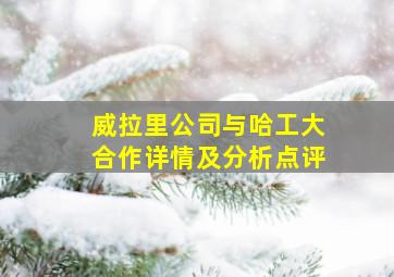 威拉里公司与哈工大合作详情及分析点评