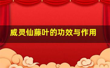 威灵仙藤叶的功效与作用