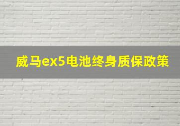 威马ex5电池终身质保政策