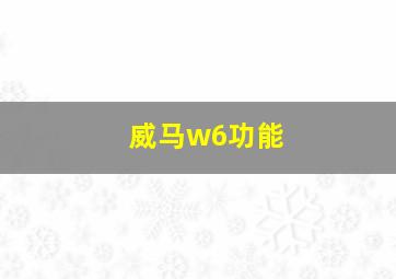 威马w6功能