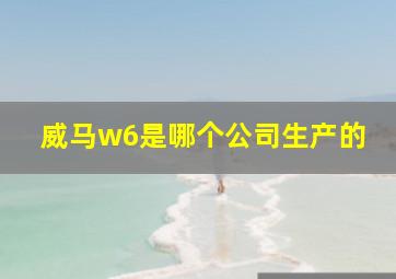 威马w6是哪个公司生产的