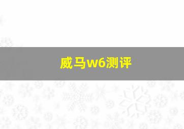 威马w6测评