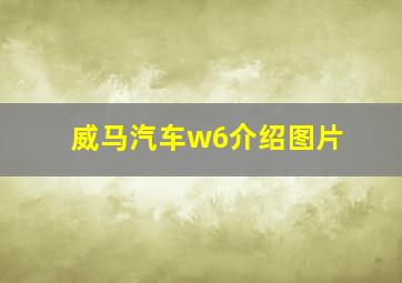 威马汽车w6介绍图片