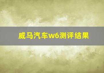 威马汽车w6测评结果