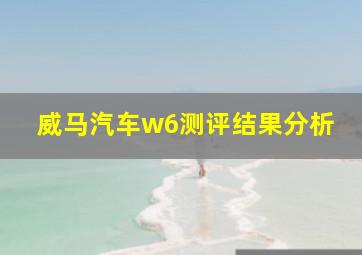 威马汽车w6测评结果分析