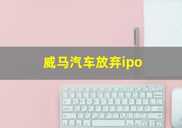 威马汽车放弃ipo