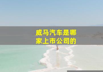 威马汽车是哪家上市公司的