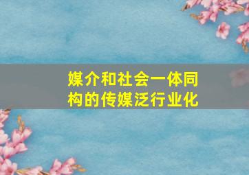 媒介和社会一体同构的传媒泛行业化