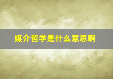 媒介哲学是什么意思啊