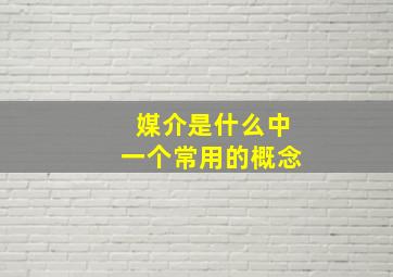 媒介是什么中一个常用的概念