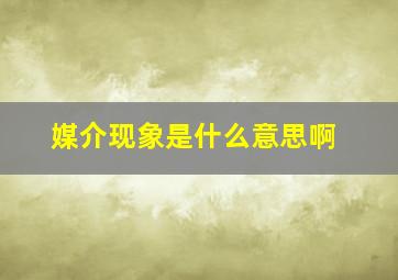 媒介现象是什么意思啊