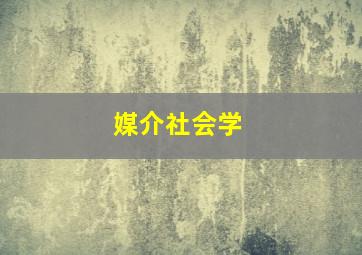 媒介社会学