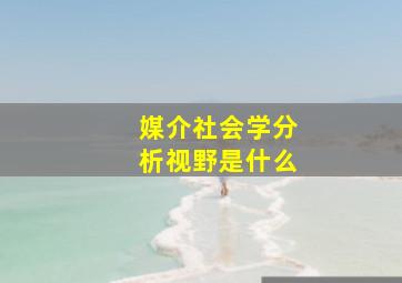 媒介社会学分析视野是什么