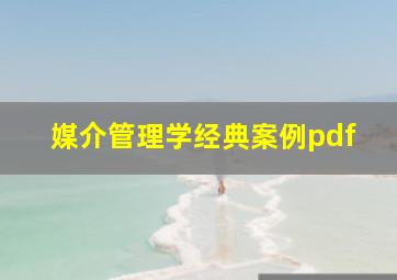 媒介管理学经典案例pdf