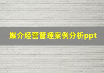 媒介经营管理案例分析ppt