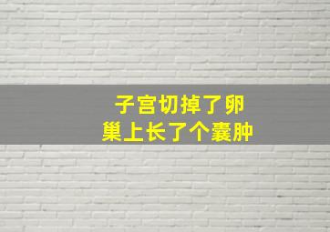 子宫切掉了卵巢上长了个囊肿