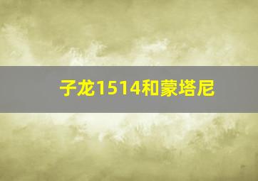 子龙1514和蒙塔尼