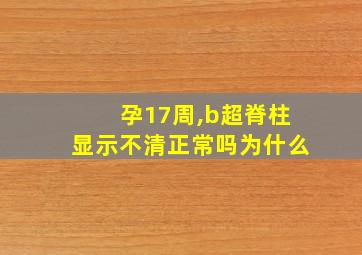 孕17周,b超脊柱显示不清正常吗为什么