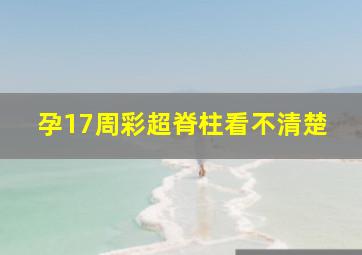 孕17周彩超脊柱看不清楚