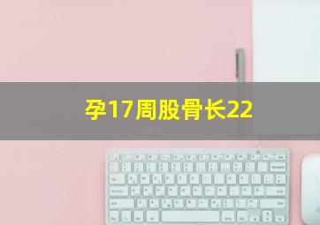 孕17周股骨长22