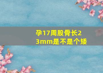 孕17周股骨长23mm是不是个矮