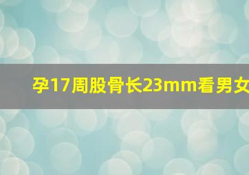 孕17周股骨长23mm看男女