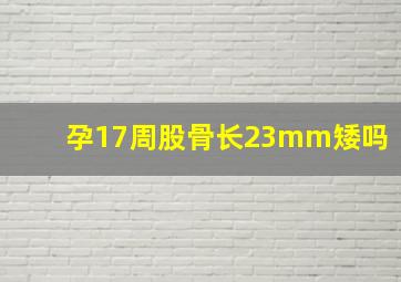 孕17周股骨长23mm矮吗