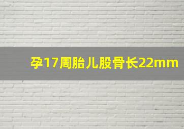 孕17周胎儿股骨长22mm