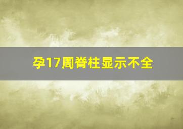 孕17周脊柱显示不全