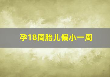 孕18周胎儿偏小一周