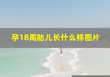 孕18周胎儿长什么样图片