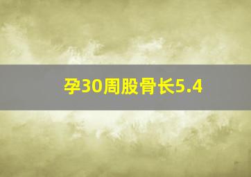 孕30周股骨长5.4