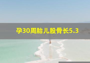 孕30周胎儿股骨长5.3