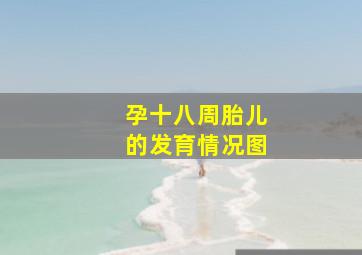 孕十八周胎儿的发育情况图