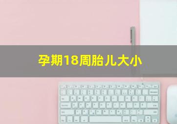 孕期18周胎儿大小