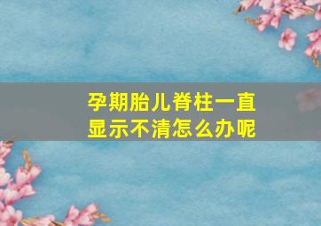 孕期胎儿脊柱一直显示不清怎么办呢