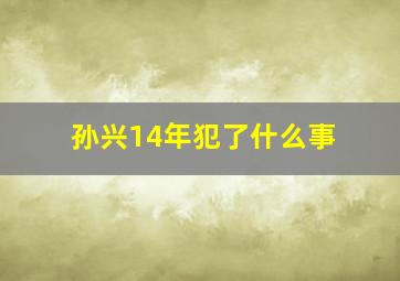 孙兴14年犯了什么事