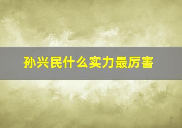 孙兴民什么实力最厉害