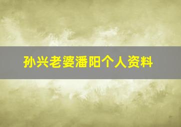 孙兴老婆潘阳个人资料