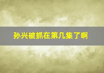 孙兴被抓在第几集了啊