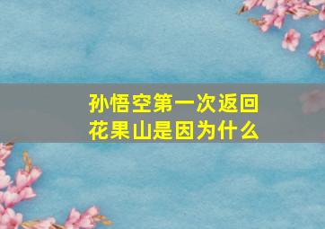 孙悟空第一次返回花果山是因为什么