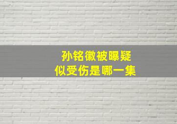 孙铭徽被曝疑似受伤是哪一集