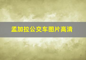 孟加拉公交车图片高清