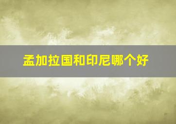 孟加拉国和印尼哪个好