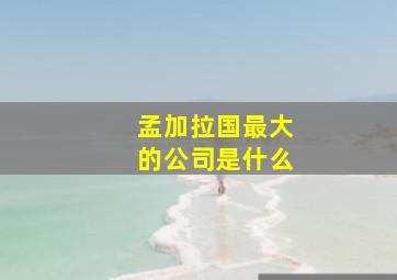 孟加拉国最大的公司是什么