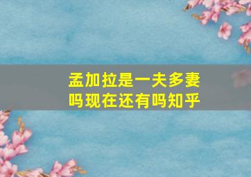 孟加拉是一夫多妻吗现在还有吗知乎