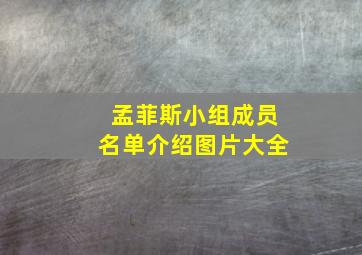 孟菲斯小组成员名单介绍图片大全