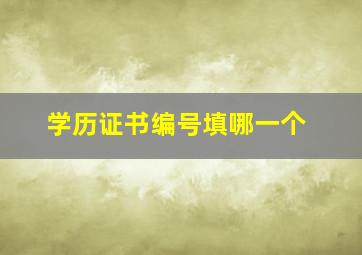 学历证书编号填哪一个